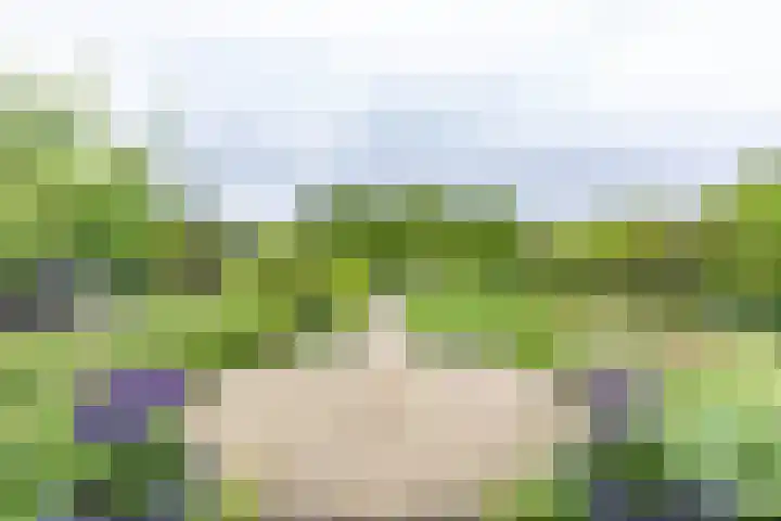 Duurswoldlaan 30 Groningen thumbnail 38