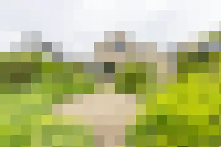Duurswoldlaan 30 Groningen thumbnail 39