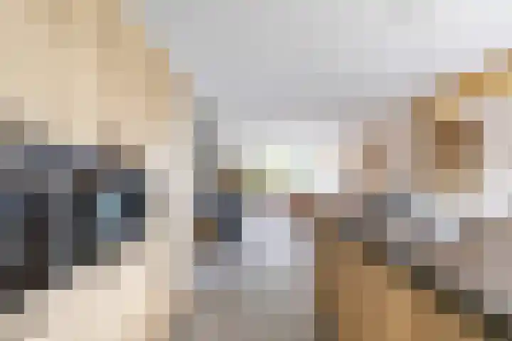 Duurswoldlaan 30 Groningen thumbnail 4