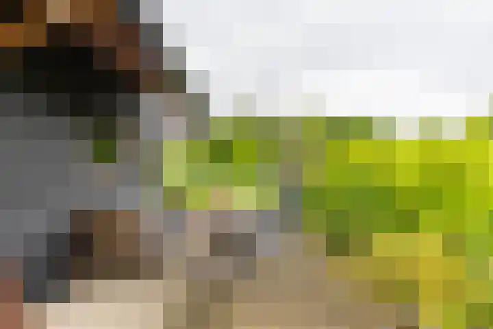 Duurswoldlaan 30 Groningen thumbnail 42