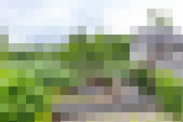Duurswoldlaan 30 Groningen thumbnail 43
