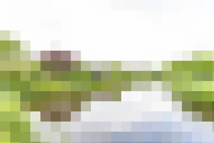 Duurswoldlaan 30 Groningen thumbnail 44