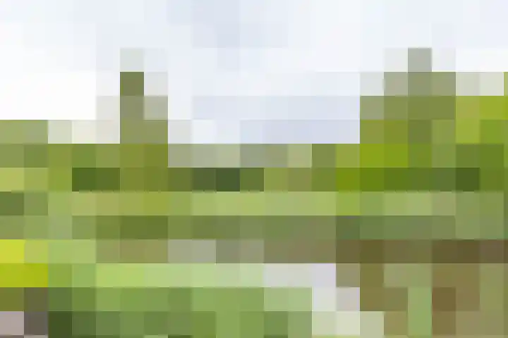Duurswoldlaan 30 Groningen thumbnail 45