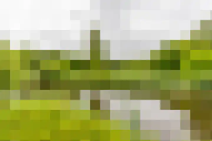 Duurswoldlaan 30 Groningen thumbnail 46