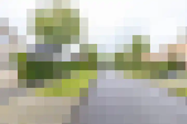 Duurswoldlaan 30 Groningen thumbnail 47