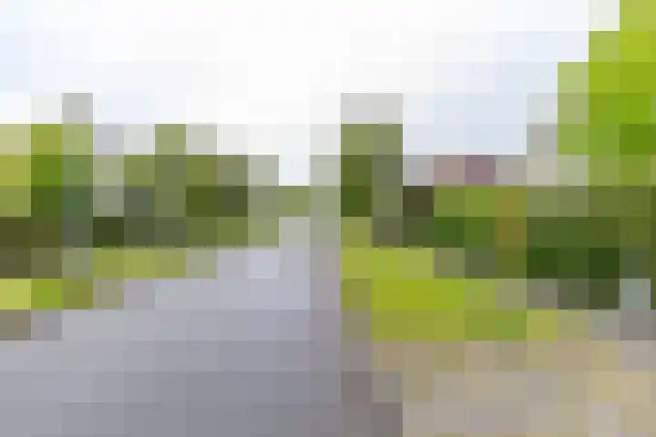 Duurswoldlaan 30 Groningen thumbnail 48