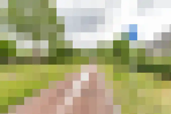 Duurswoldlaan 30 Groningen thumbnail 49