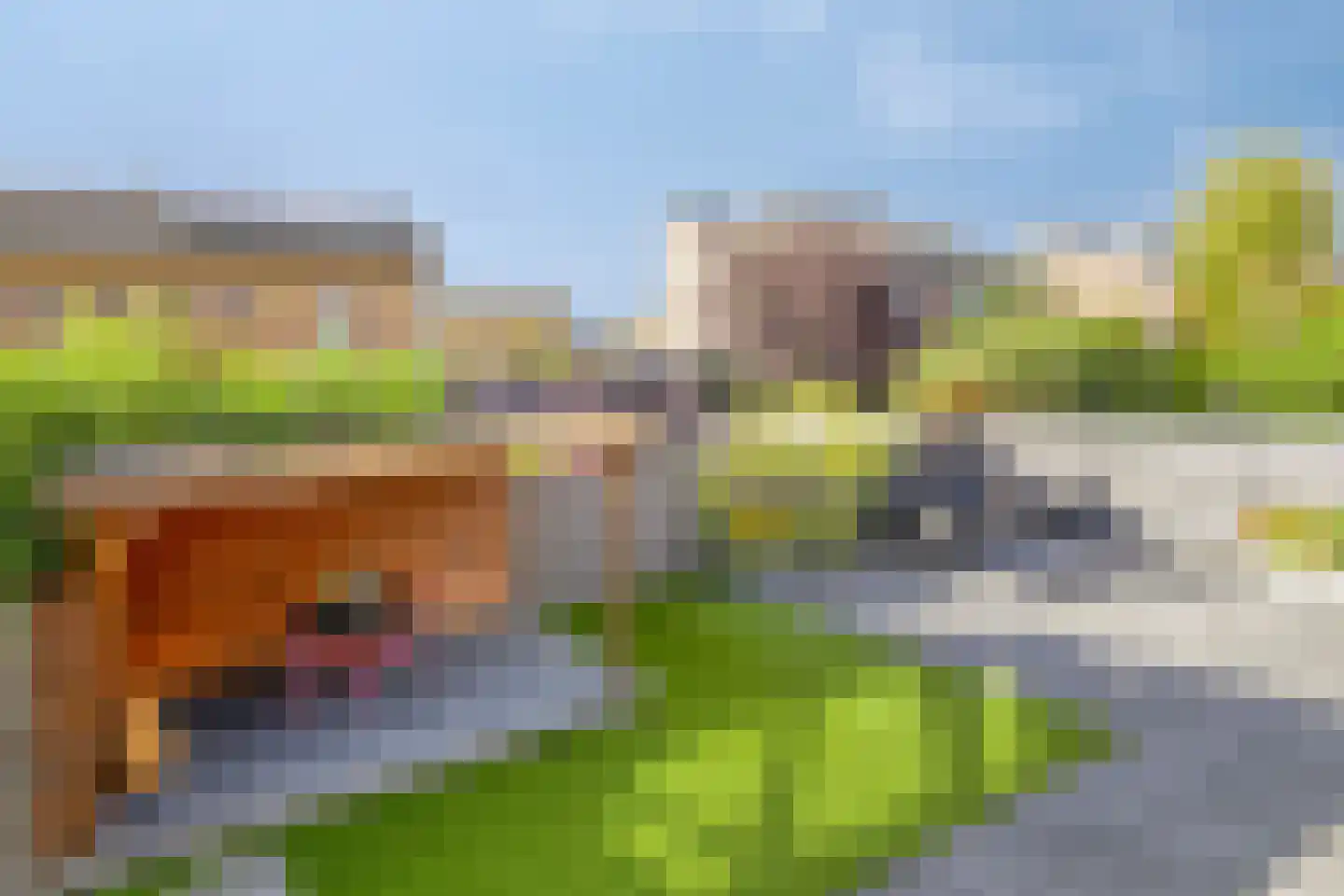 Duurswoldlaan 37 Groningen thumbnail 35