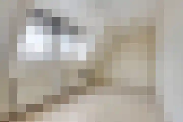 Duurswoudelaan 5 Tilburg thumbnail 19