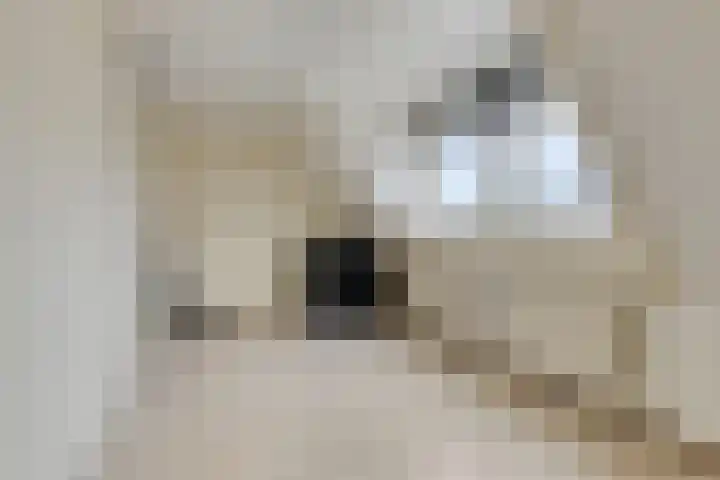 Duurswoudelaan 5 Tilburg thumbnail 20