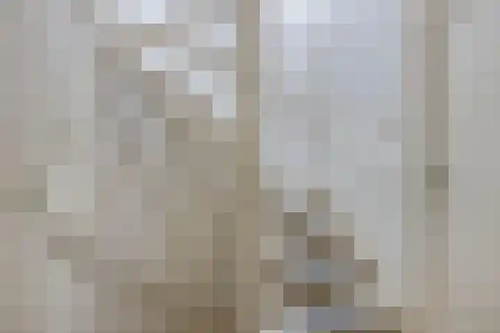 Duurswoudelaan 5 Tilburg thumbnail 21