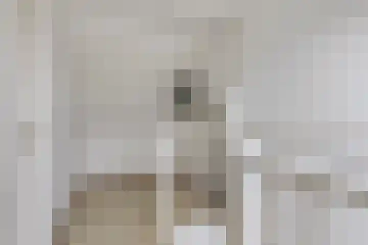 Duurswoudelaan 5 Tilburg thumbnail 23