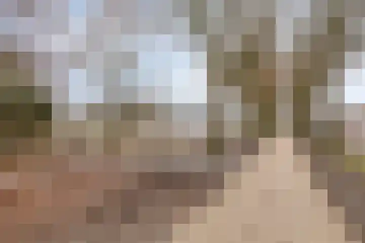Duurswoudelaan 5 Tilburg thumbnail 38