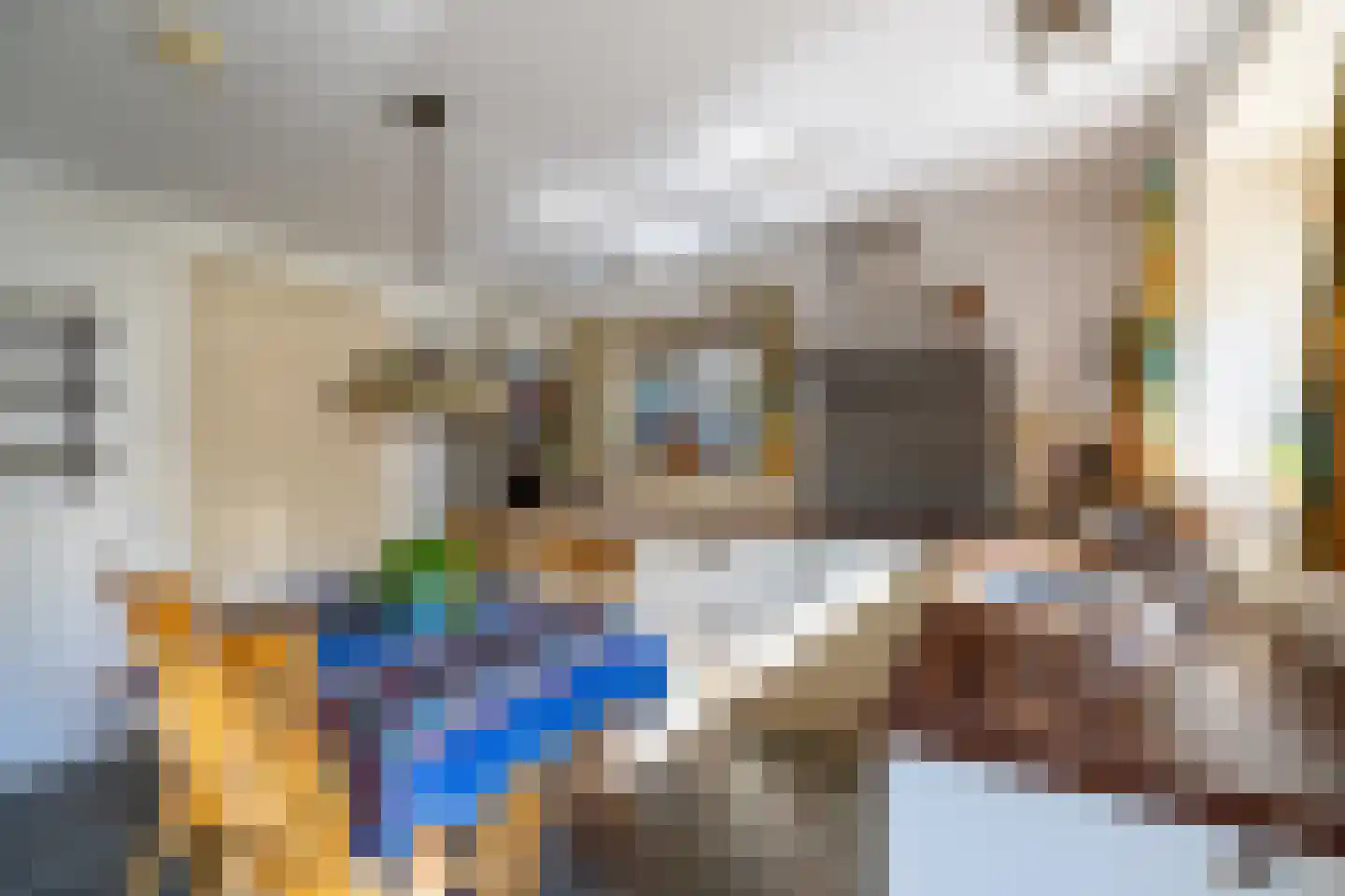 Duval Slothouwerstraat 25 Doetinchem thumbnail 11