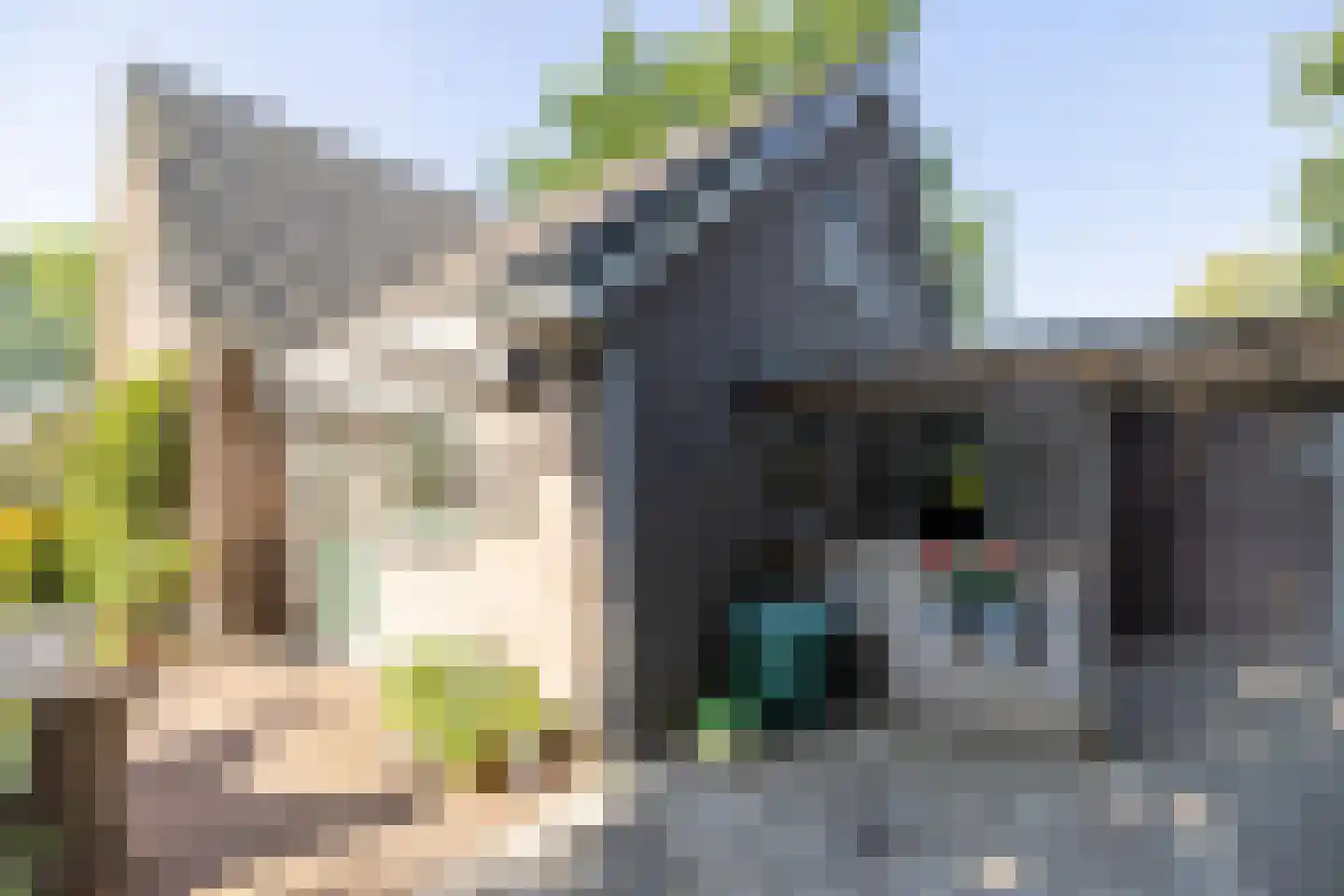 Duval Slothouwerstraat 25 Doetinchem thumbnail 19