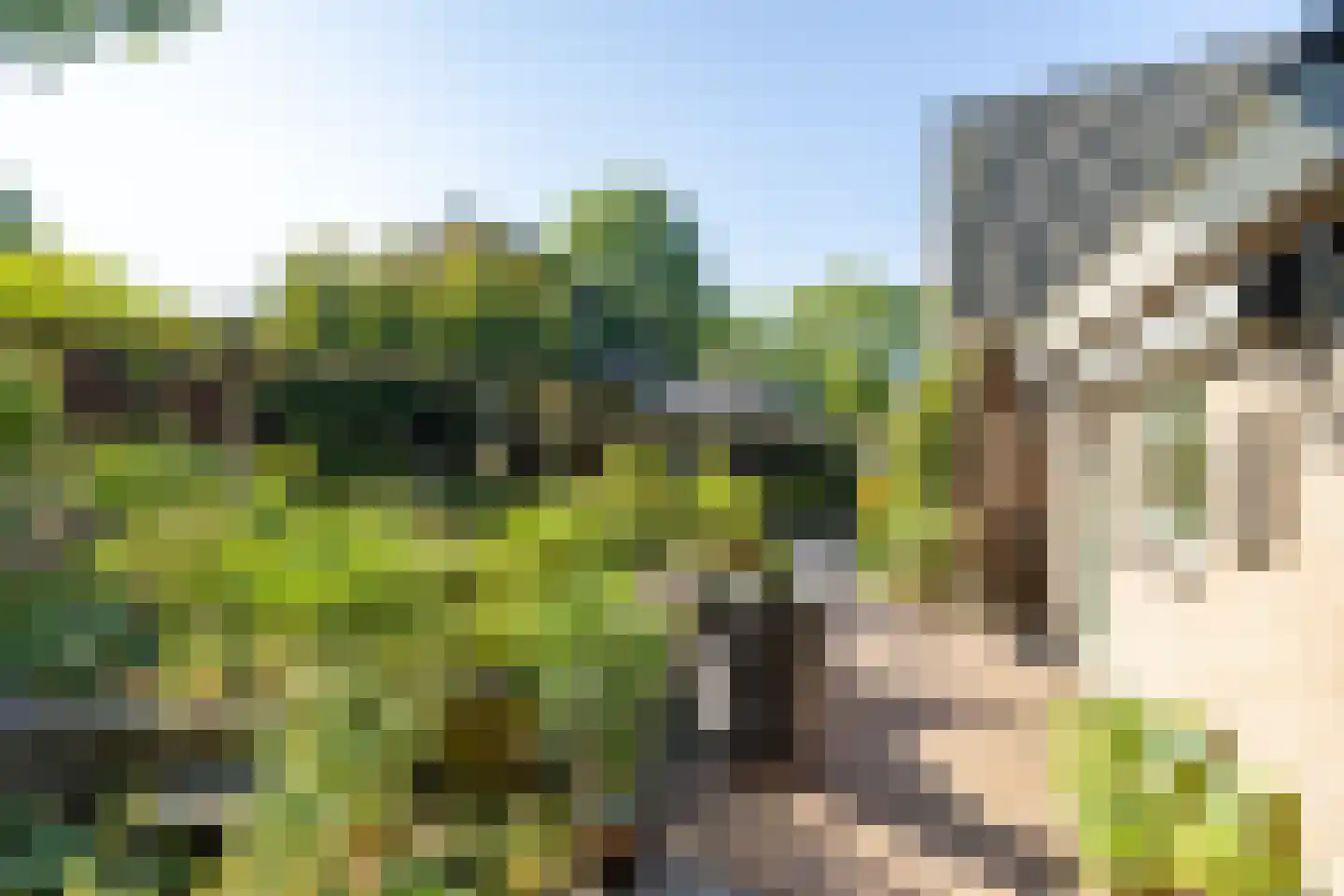 Duval Slothouwerstraat 25 Doetinchem thumbnail 20