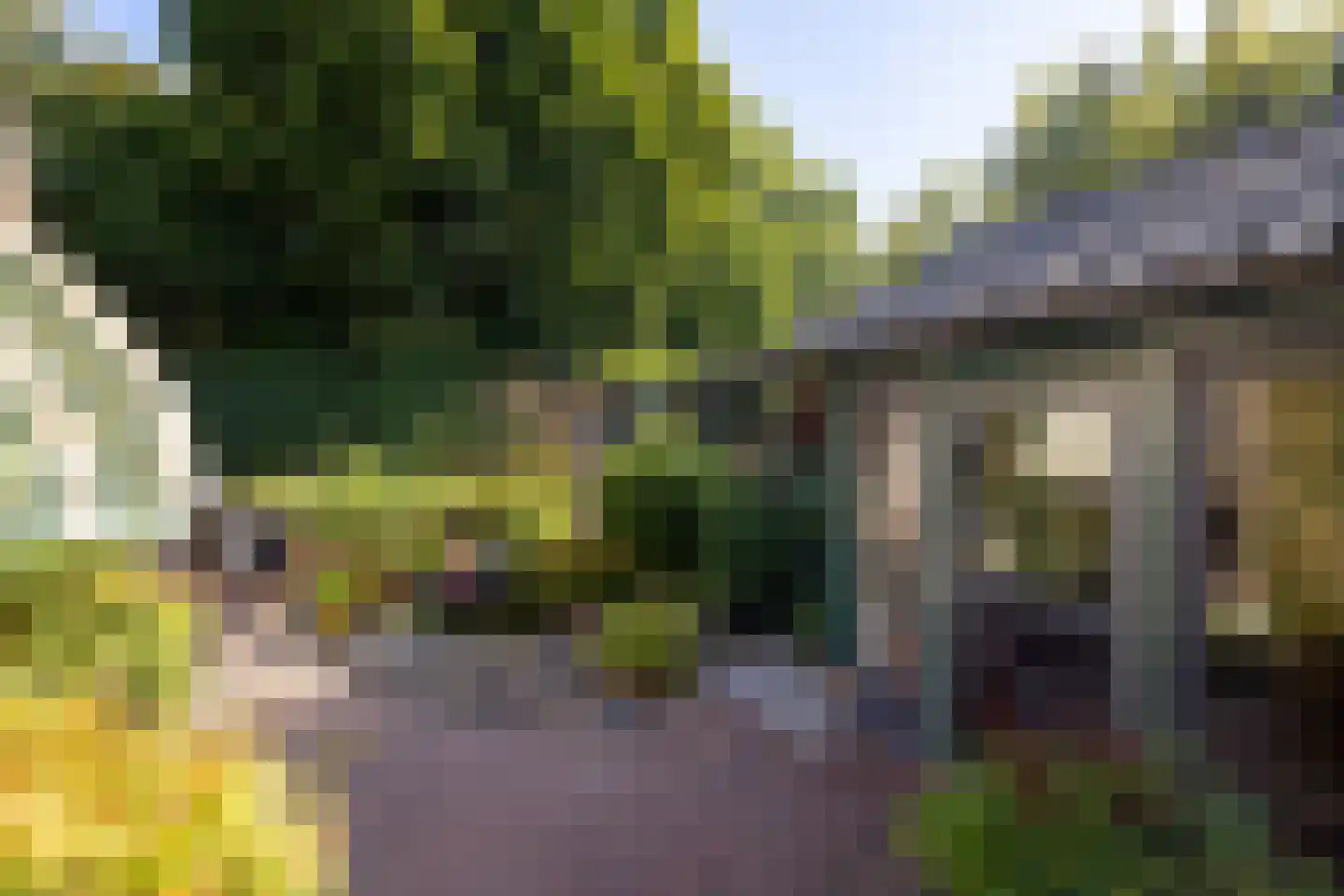 Duval Slothouwerstraat 25 Doetinchem thumbnail 22