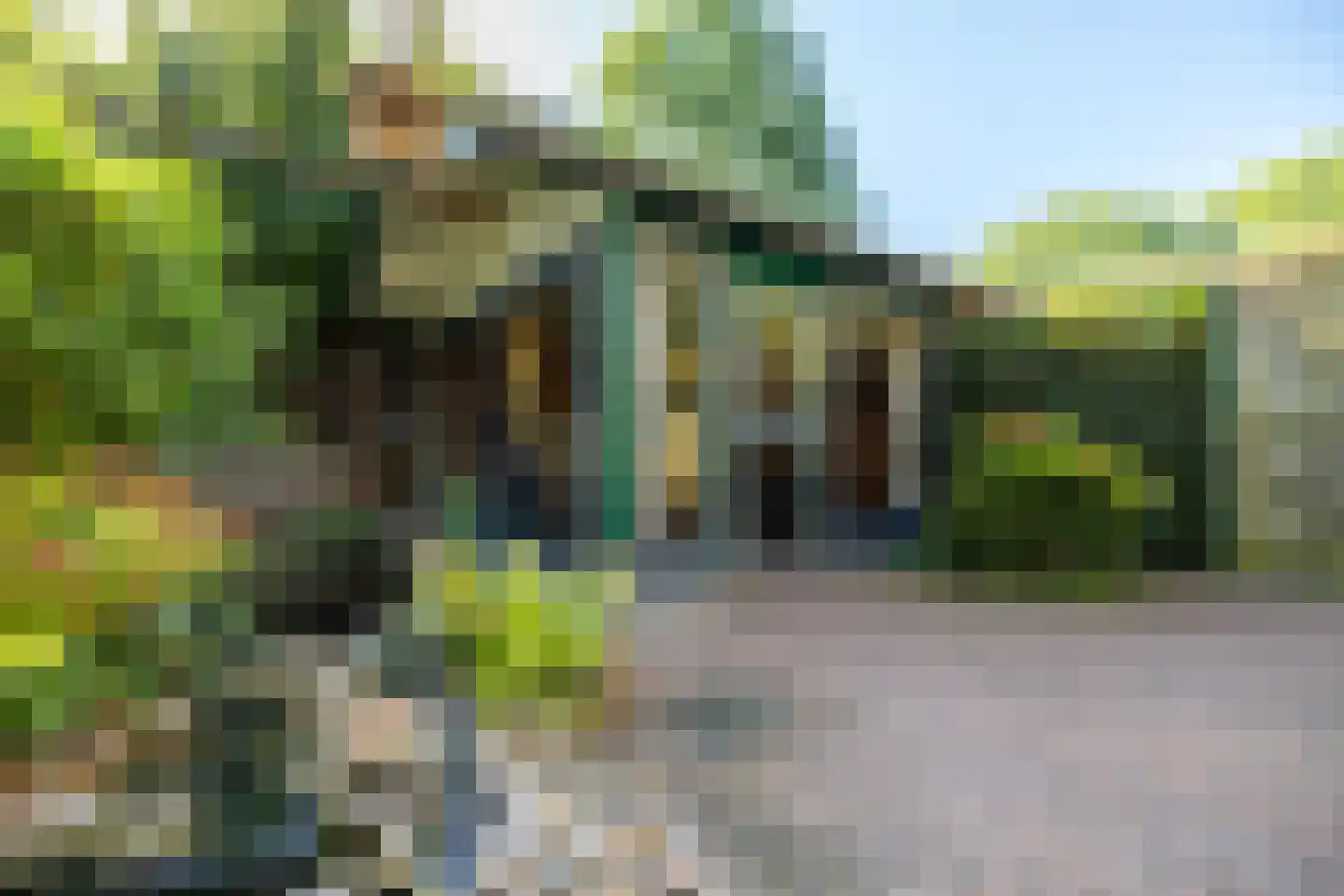 Duval Slothouwerstraat 25 Doetinchem thumbnail 28