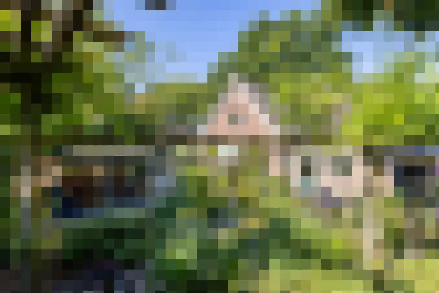 Duval Slothouwerstraat 25 Doetinchem thumbnail 31