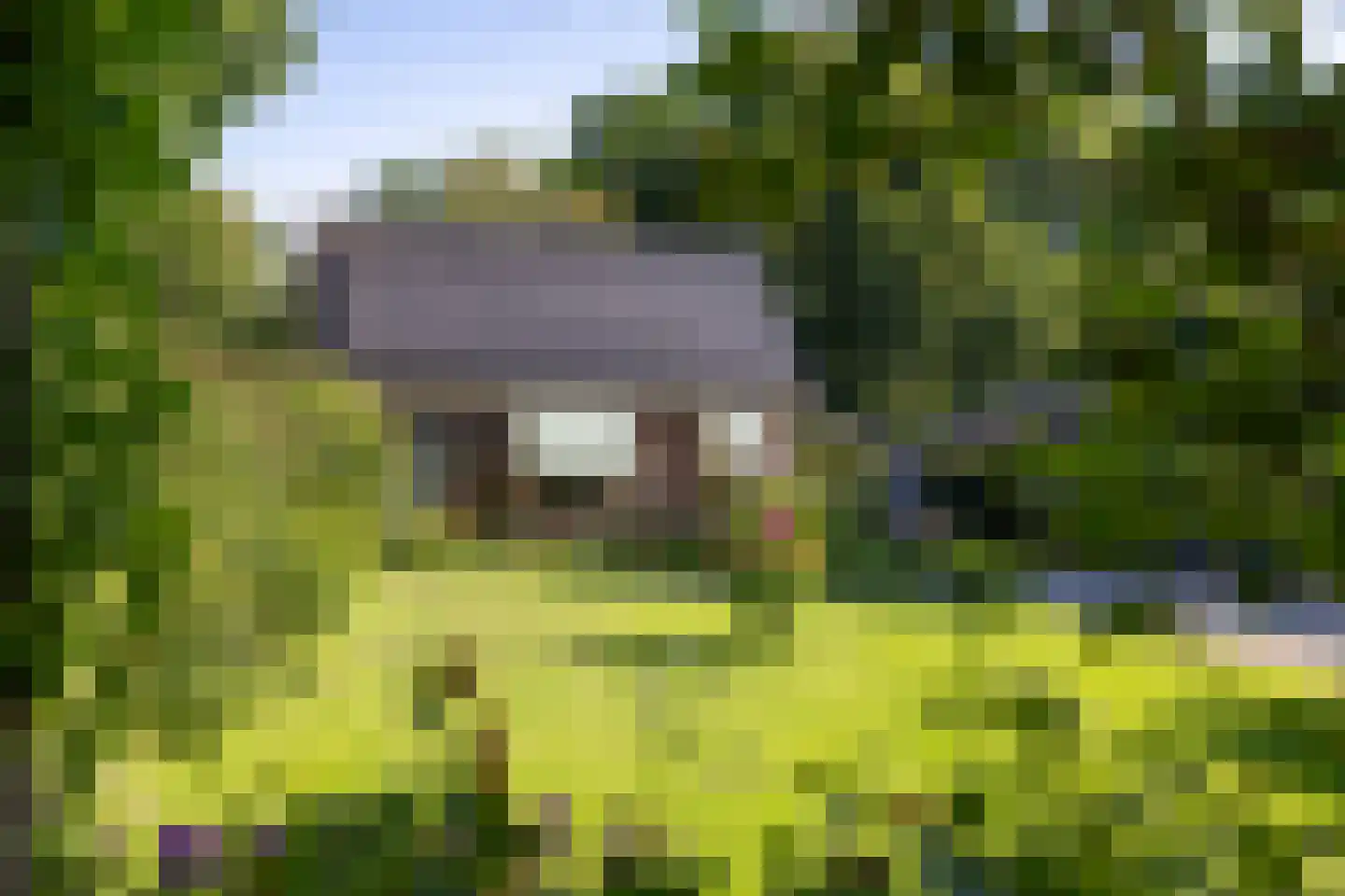 Duval Slothouwerstraat 25 Doetinchem thumbnail 64