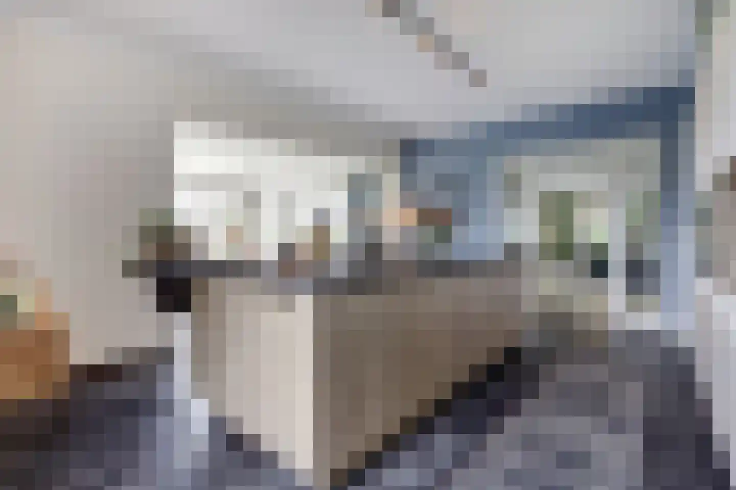 Duveldlaan 12 Arcen thumbnail 17