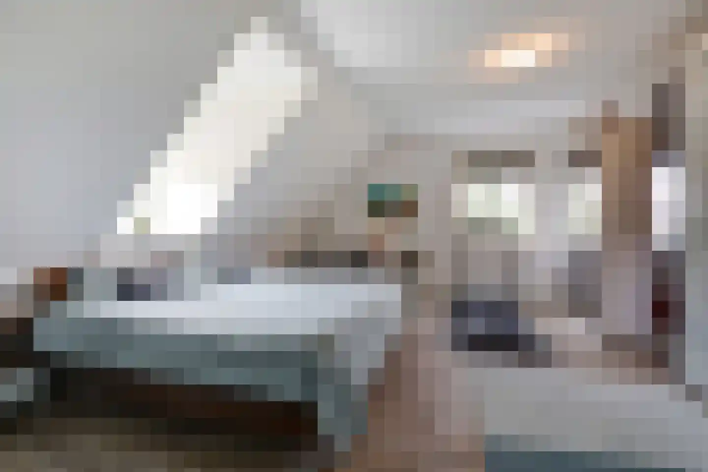 Duveldlaan 12 Arcen thumbnail 25