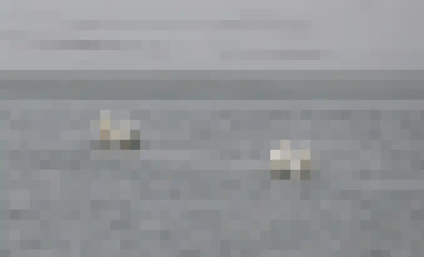 Duveldlaan 12 Arcen thumbnail 34