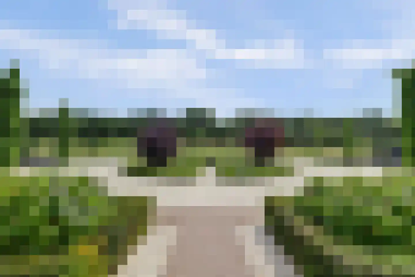 Duveldlaan 12 Arcen thumbnail 42