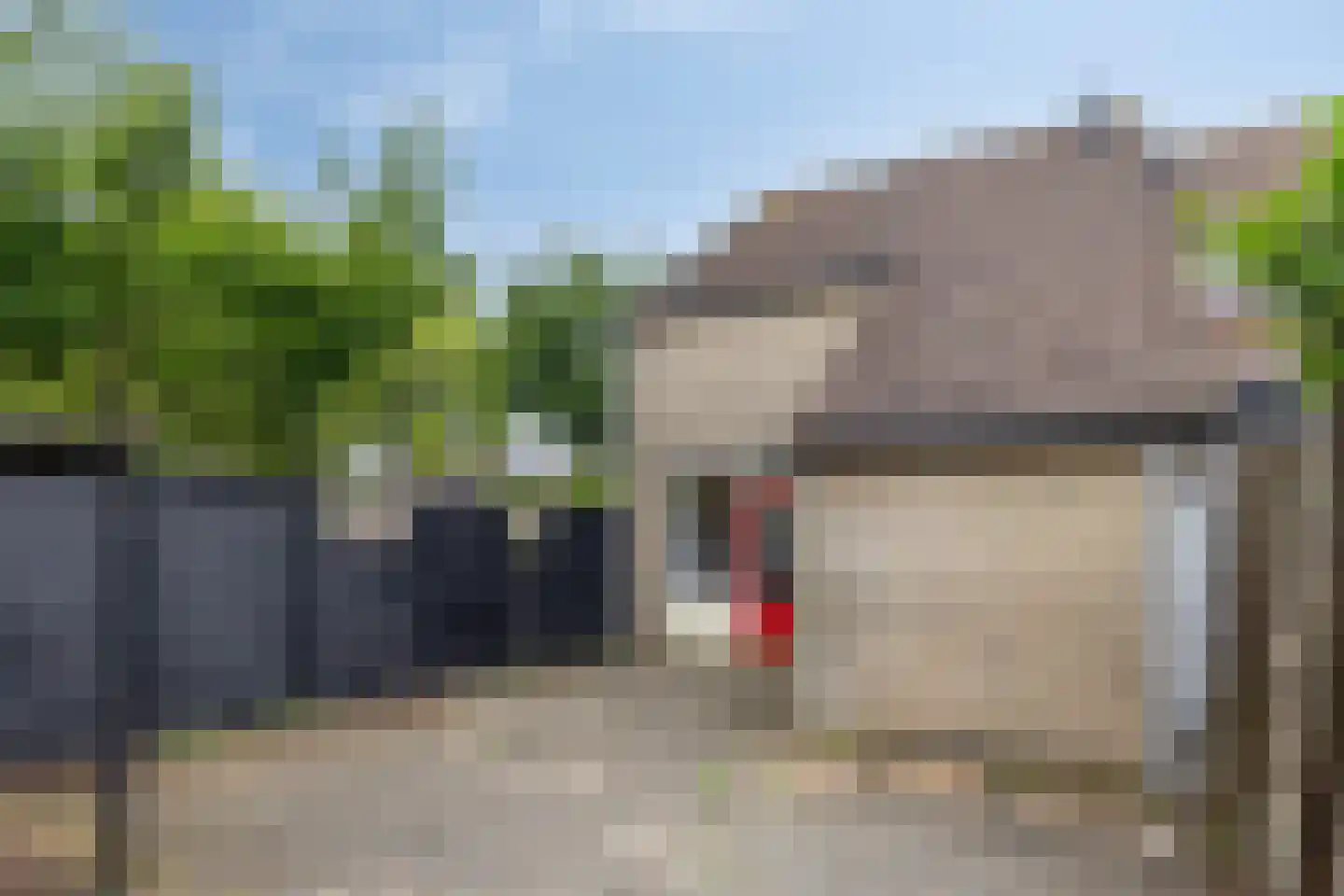 Duvenee 17 Bergen op Zoom thumbnail 30