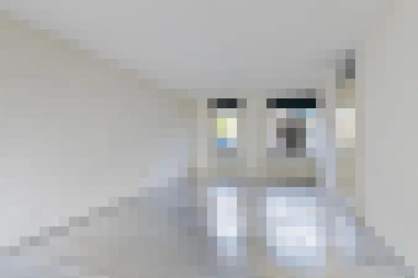 Duvenee 29 Bergen op Zoom thumbnail 13