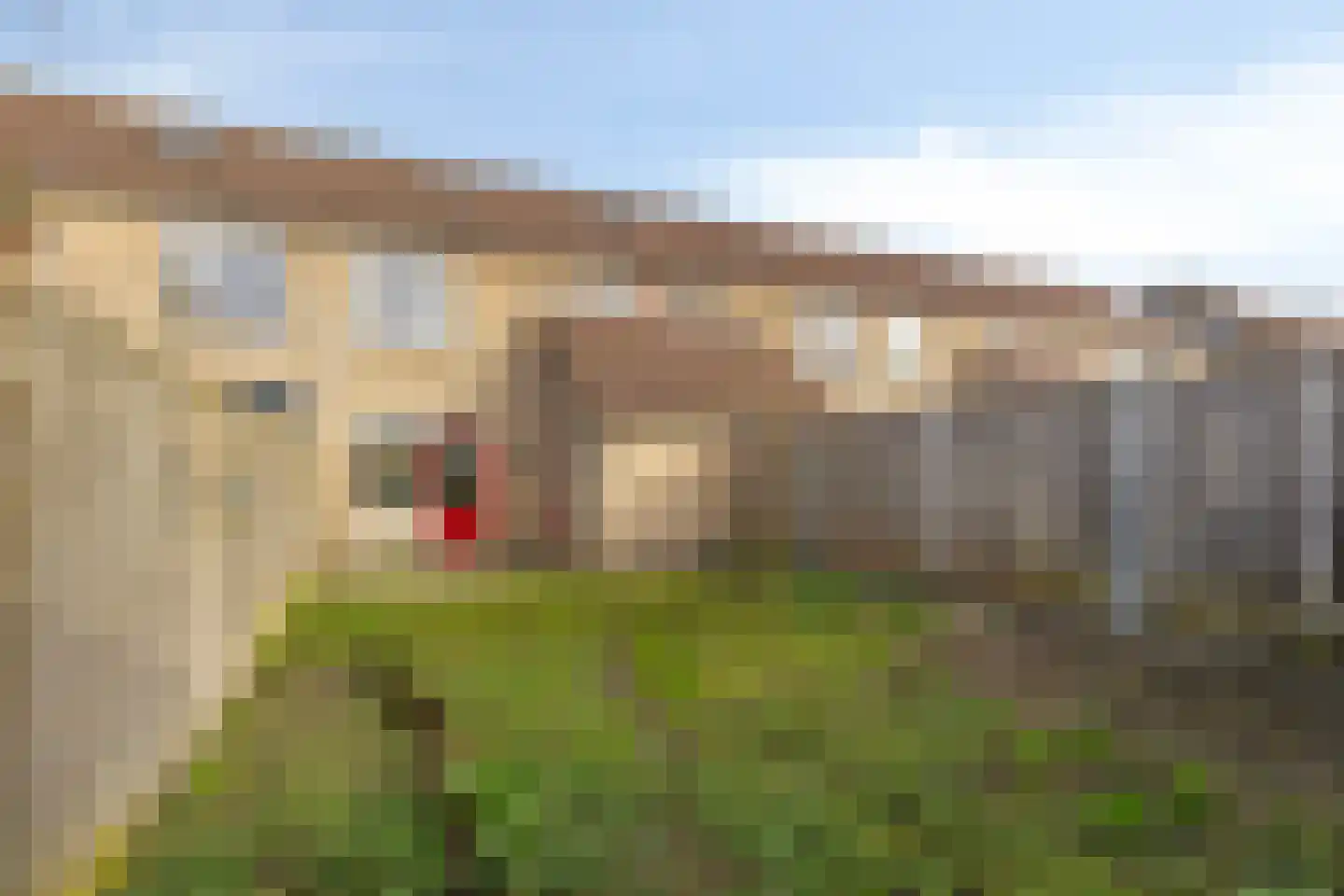 Duvenee 29 Bergen op Zoom thumbnail 32