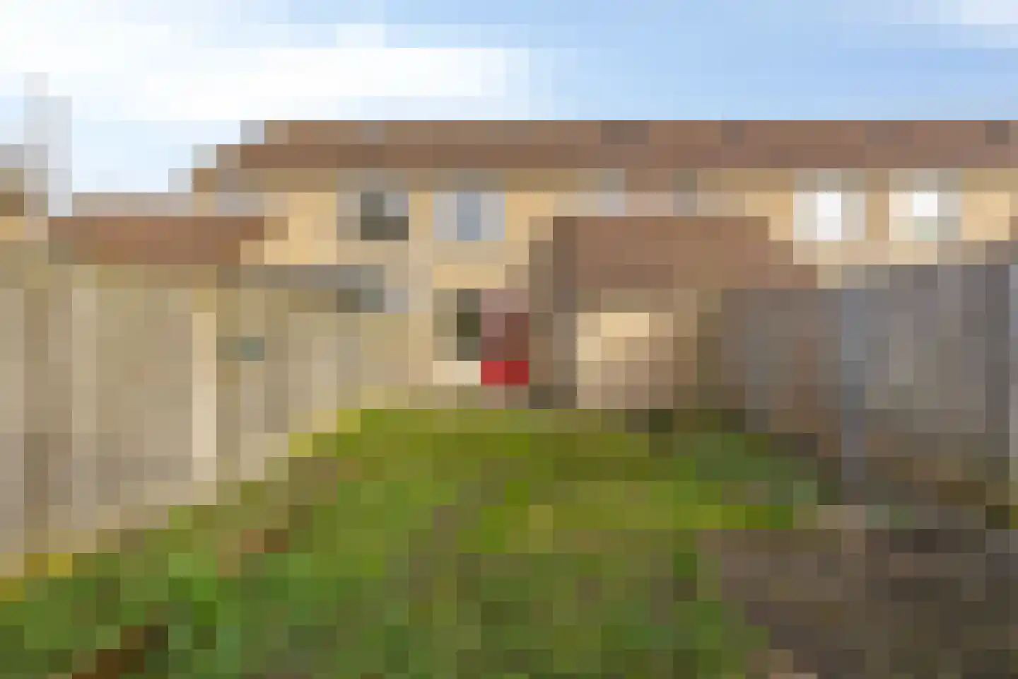 Duvenee 29 Bergen op Zoom thumbnail 33