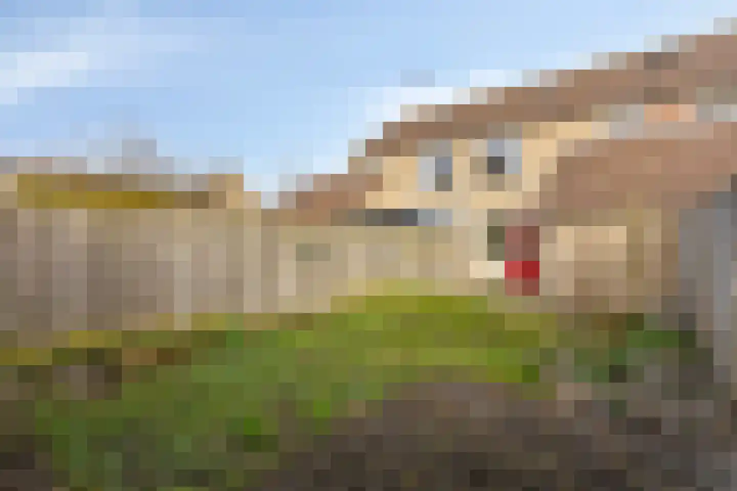 Duvenee 29 Bergen op Zoom thumbnail 34