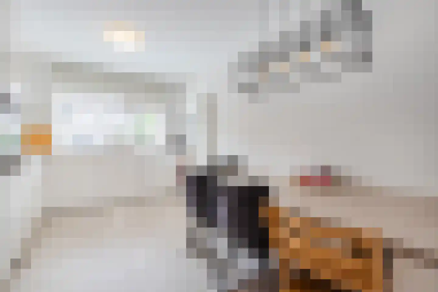 Duvenee 30 Bergen op Zoom thumbnail 16