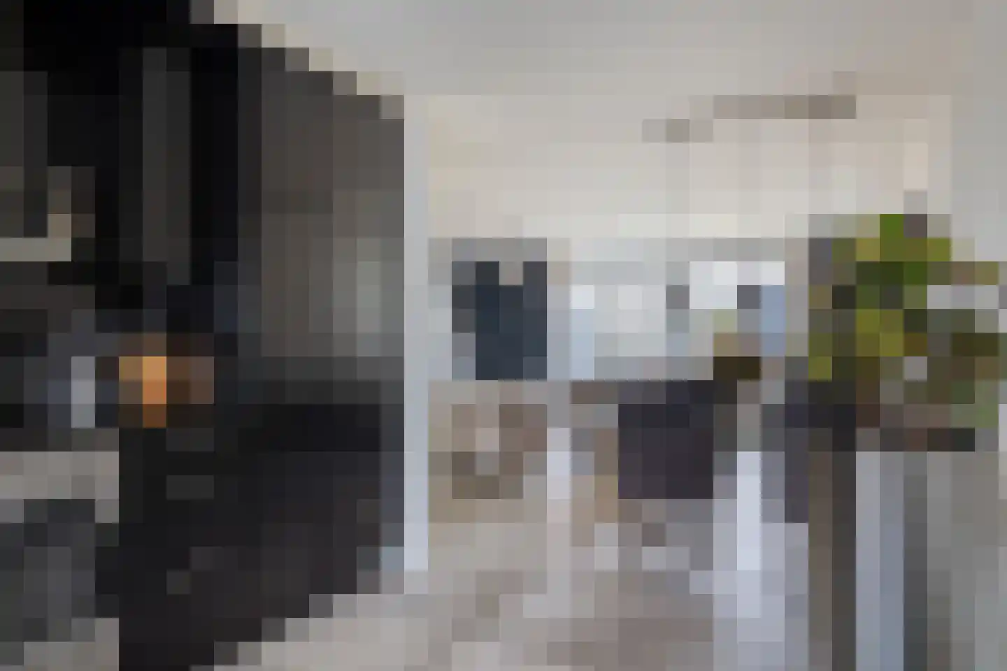 Duvenee 37 Bergen op Zoom thumbnail 18