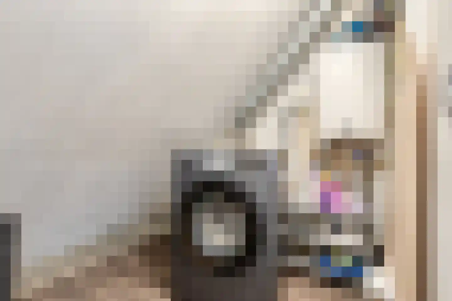 Duvenee 37 Bergen op Zoom thumbnail 30