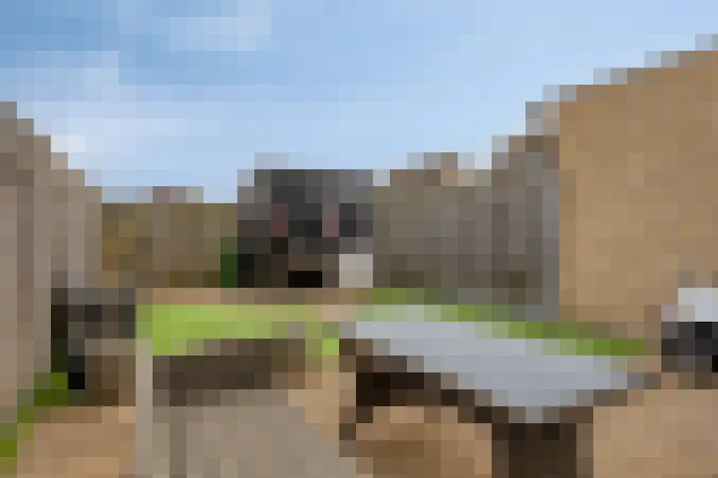 Duvenee 37 Bergen op Zoom thumbnail 34