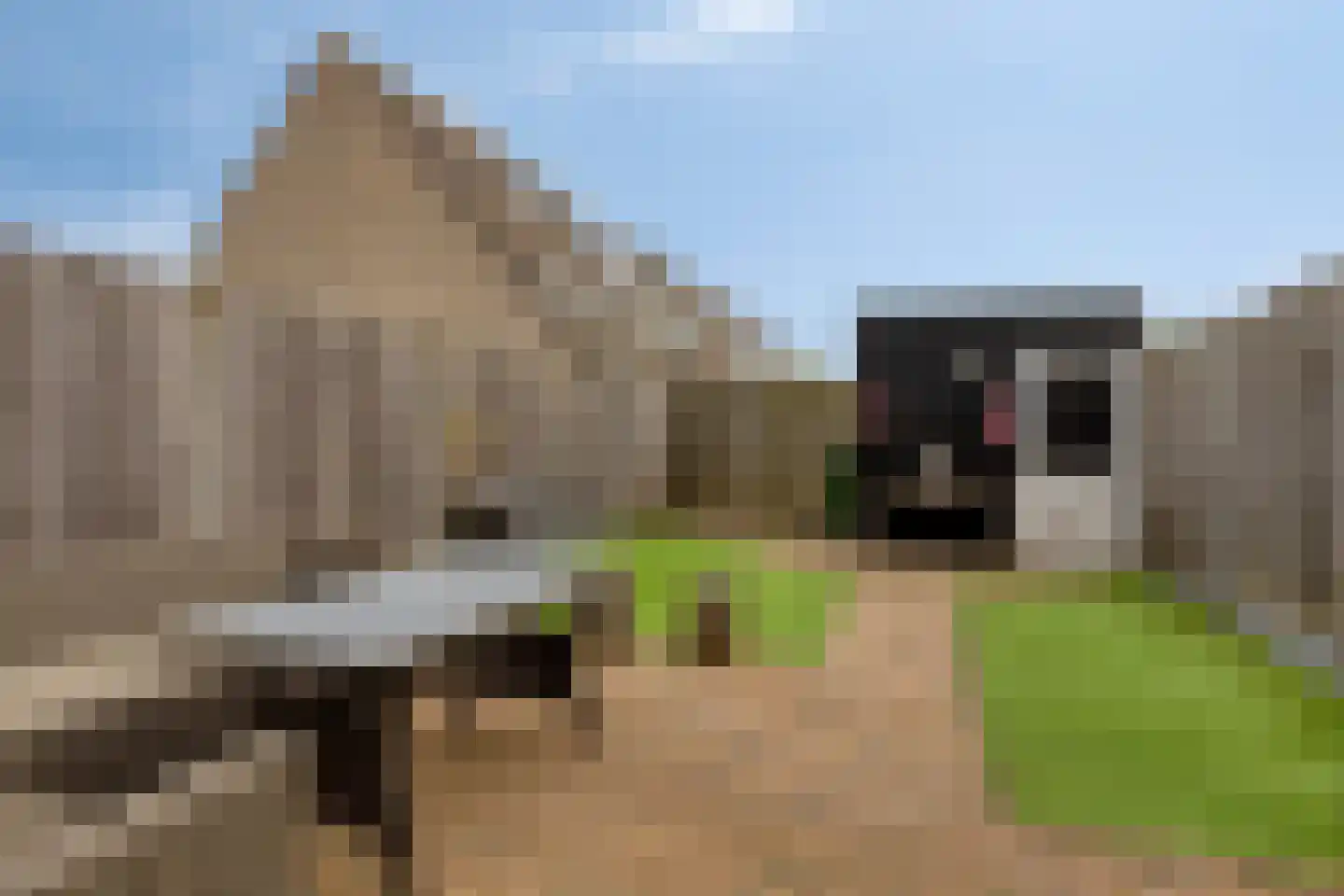 Duvenee 37 Bergen op Zoom thumbnail 35