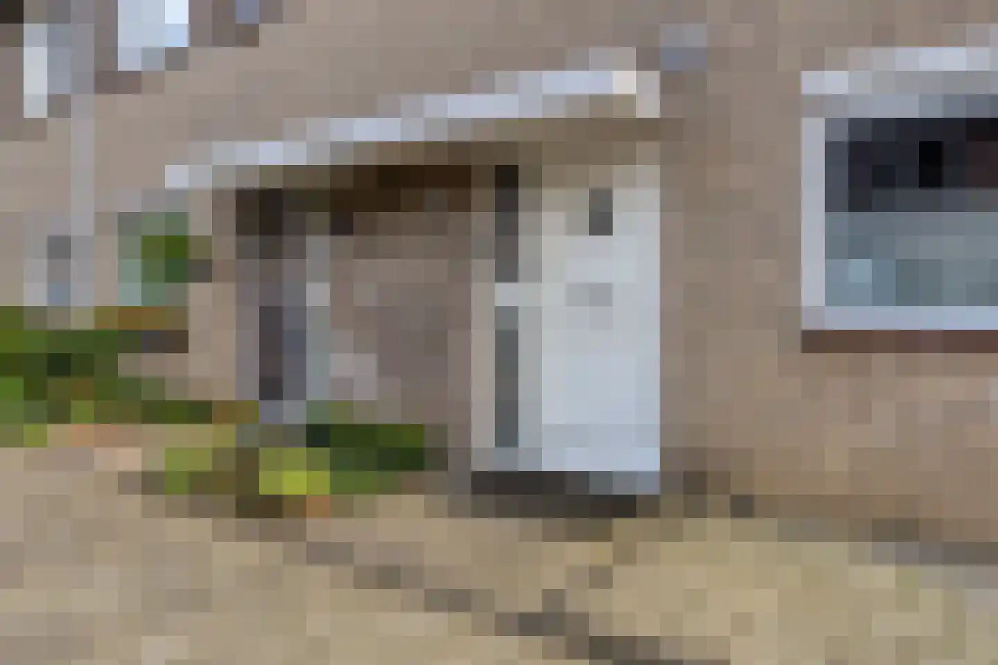 Duvenee 37 Bergen op Zoom thumbnail 6
