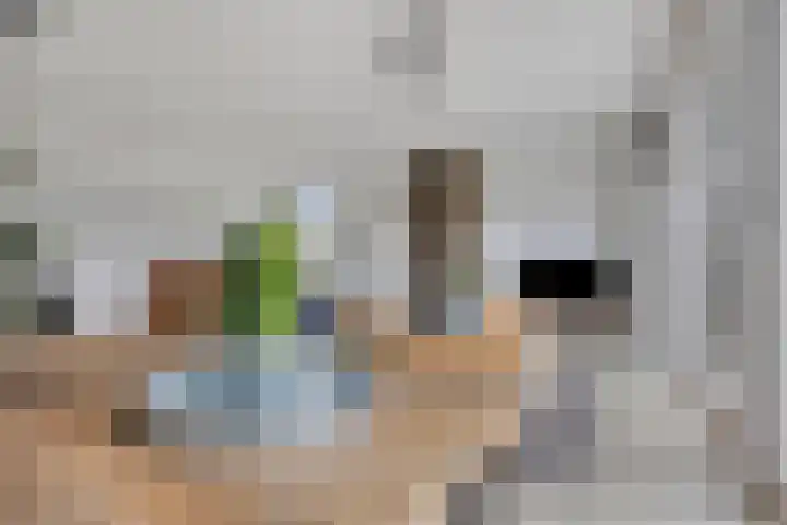 Duvensteijn 16 Goes thumbnail 14