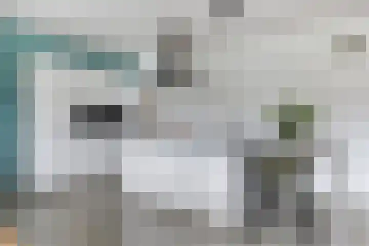 Duvensteijn 16 Goes thumbnail 16
