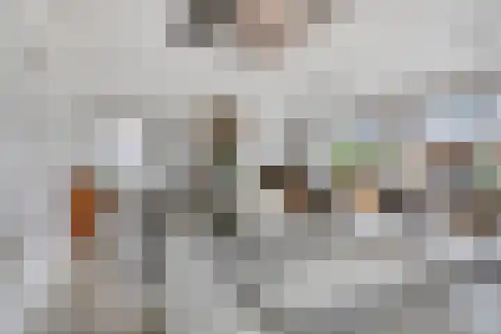Duvensteijn 16 Goes thumbnail 17