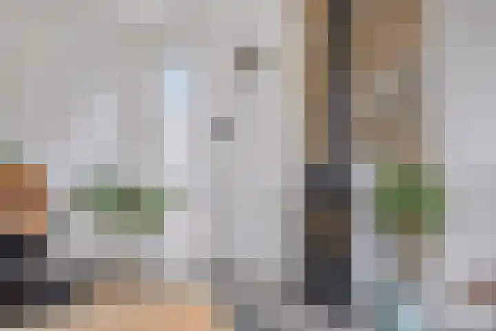 Duvensteijn 16 Goes thumbnail 18