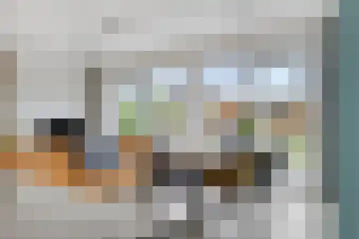 Duvensteijn 16 Goes thumbnail 19