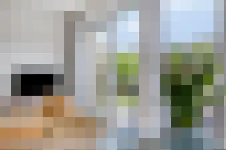Duvensteijn 16 Goes thumbnail 20