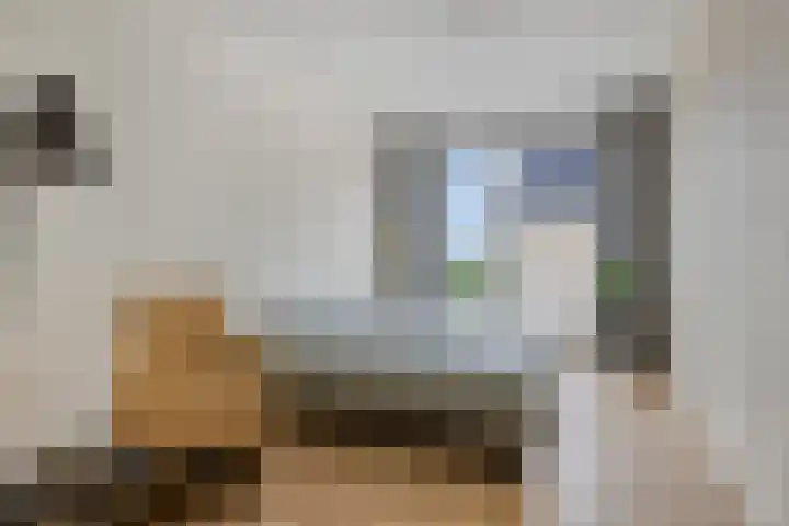 Duvensteijn 16 Goes thumbnail 31