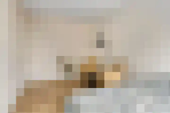 Duvensteijn 16 Goes thumbnail 32