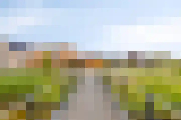 Duvensteijn 16 Goes thumbnail 4