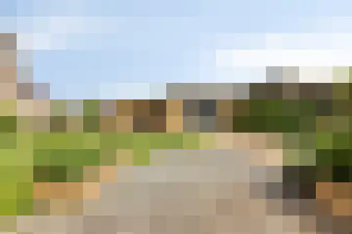 Duvensteijn 16 Goes thumbnail 46