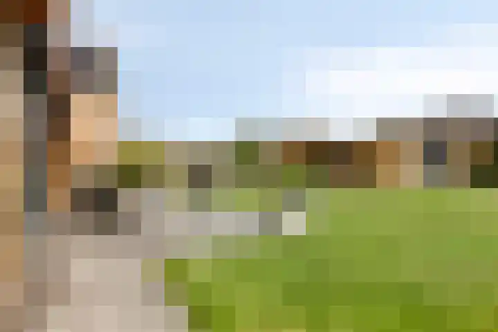 Duvensteijn 16 Goes thumbnail 47
